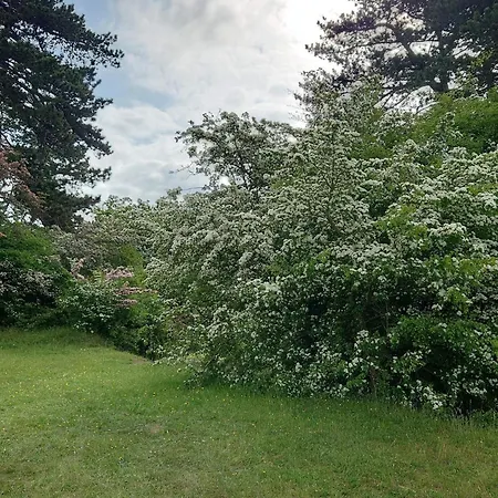 9 Person In * Skibby